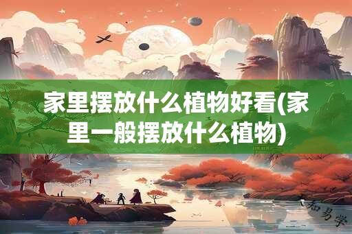 家里摆放什么植物好看(家里一般摆放什么植物)