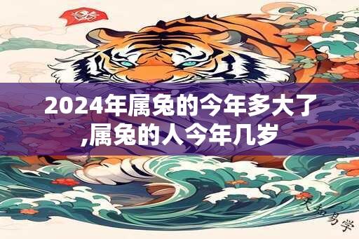 2024年属兔的今年多大了,属兔的人今年几岁