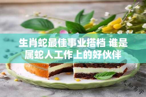 生肖蛇最佳事业搭档 谁是属蛇人工作上的好伙伴