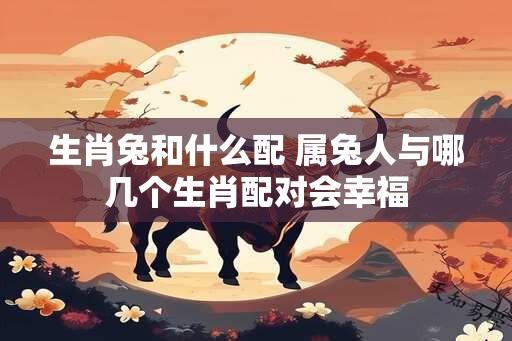 生肖兔和什么配 属兔人与哪几个生肖配对会幸福