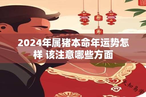 2024年属猪本命年运势怎样 该注意哪些方面