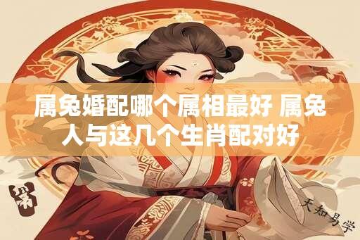 属兔婚配哪个属相最好 属兔人与这几个生肖配对好