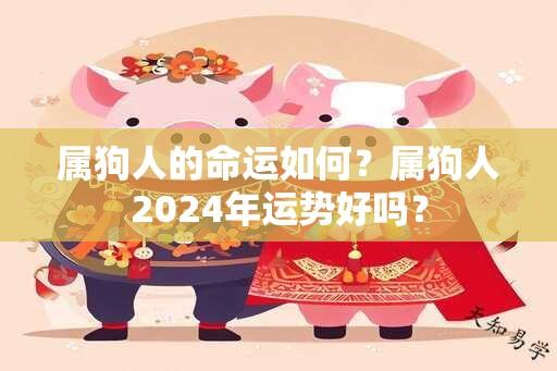 属狗人的命运如何？属狗人2024年运势好吗？