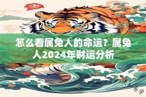 怎么看属兔人的命运？属兔人2024年财运分析