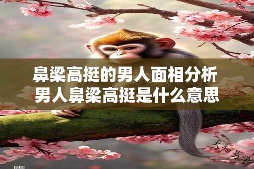 鼻梁高挺的男人面相分析 男人鼻梁高挺是什么意思