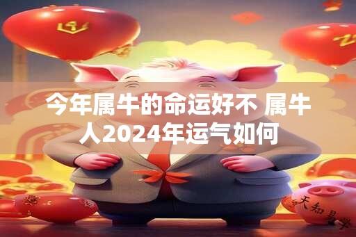 今年属牛的命运好不 属牛人2024年运气如何