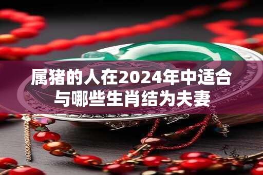 属猪的人在2024年中适合与哪些生肖结为夫妻