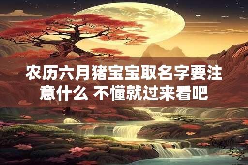 农历六月猪宝宝取名字要注意什么 不懂就过来看吧