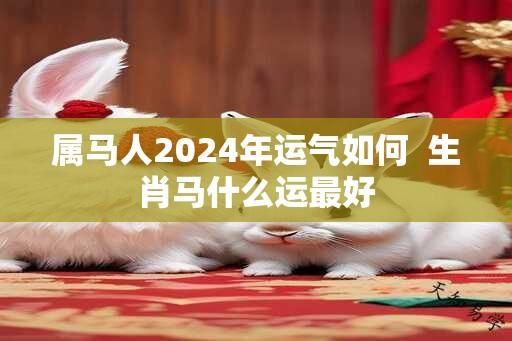 属马人2024年运气如何  生肖马什么运最好