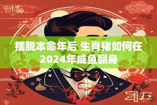 摆脱本命年后 生肖猪如何在2024年咸鱼翻身