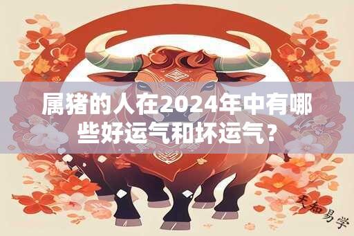 属猪的人在2024年中有哪些好运气和坏运气？