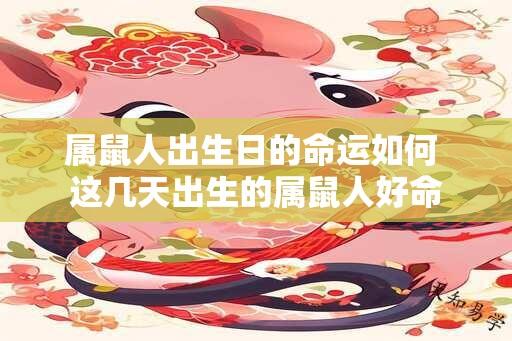 属鼠人出生日的命运如何 这几天出生的属鼠人好命