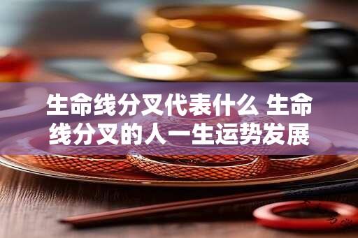 生命线分叉代表什么 生命线分叉的人一生运势发展