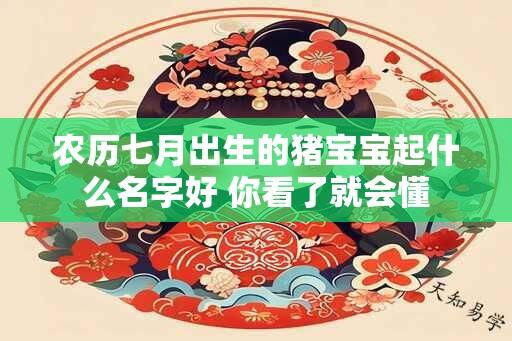 农历七月出生的猪宝宝起什么名字好 你看了就会懂