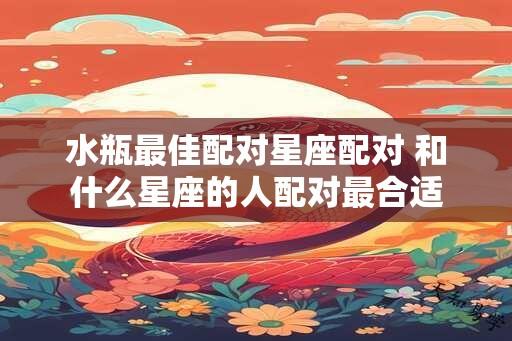 水瓶最佳配对星座配对 和什么星座的人配对最合适