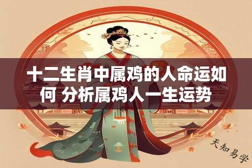 十二生肖中属鸡的人命运如何 分析属鸡人一生运势