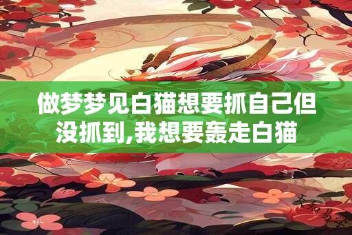 做梦梦见白猫想要抓自己但没抓到,我想要轰走白猫