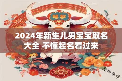 2024年新生儿男宝宝取名大全 不懂起名看过来