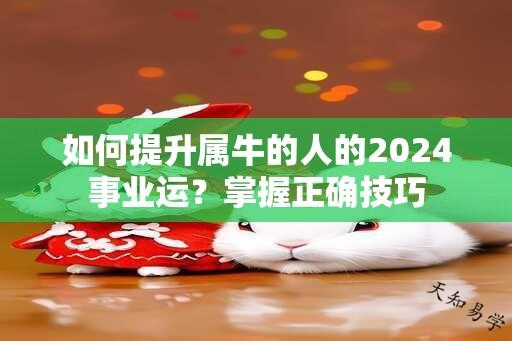 如何提升属牛的人的2024事业运？掌握正确技巧