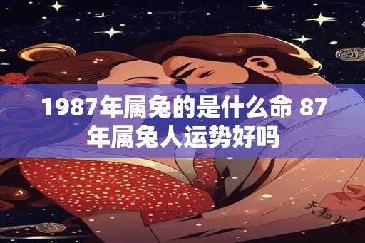 1987年属兔的是什么命 87年属兔人运势好吗