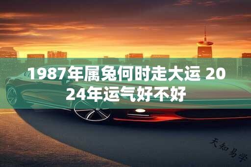 1987年属兔何时走大运 2024年运气好不好