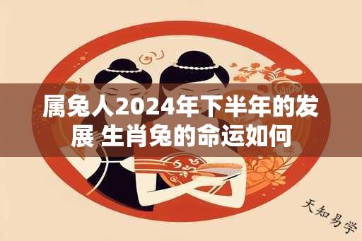 属兔人2024年下半年的发展 生肖兔的命运如何