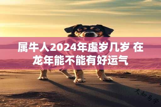 属牛人2024年虚岁几岁 在龙年能不能有好运气