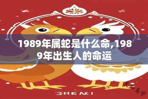 1989年属蛇是什么命,1989年出生人的命运