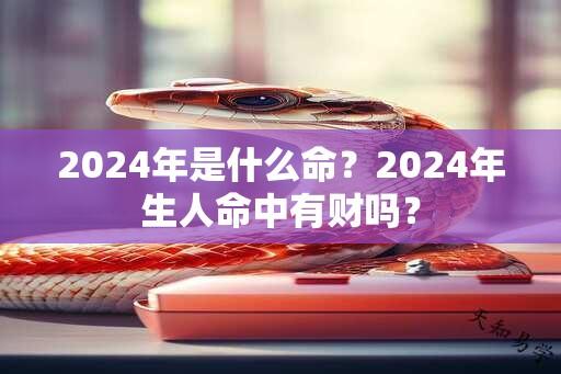 2024年是什么命？2024年生人命中有财吗？