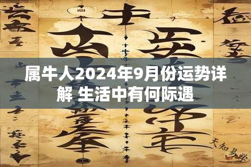 属牛人2024年9月份运势详解 生活中有何际遇