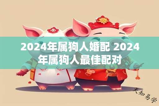 2024年属狗人婚配 2024年属狗人最佳配对