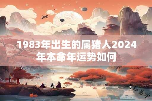 1983年出生的属猪人2024年本命年运势如何