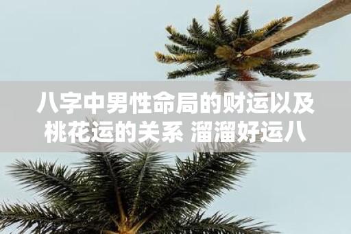 八字中男性命局的财运以及桃花运的关系 溜溜好运八字排盘