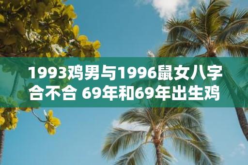 1993鸡男与1996鼠女八字合不合 69年和69年出生鸡能配吗