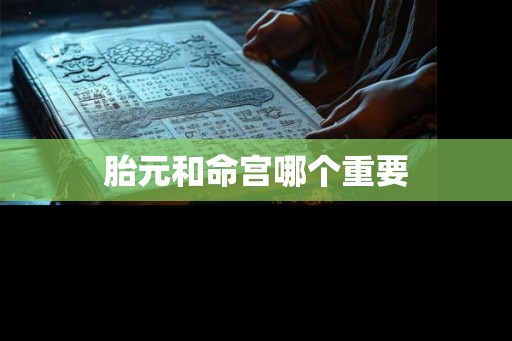 胎元和命宫哪个重要 胎元和命宫哪个重要