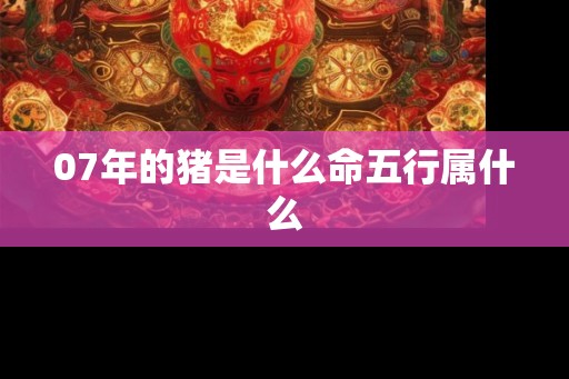 07年的猪是什么命五行属什么