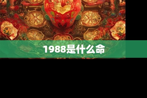 1988是什么命