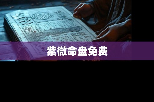 紫微命盘免费