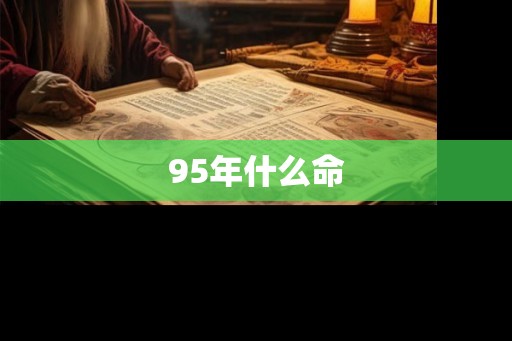 95年什么命