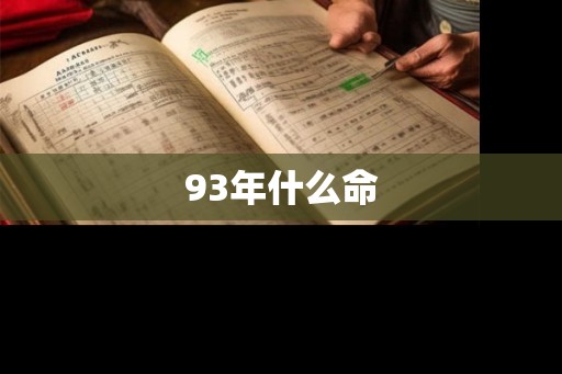 93年什么命