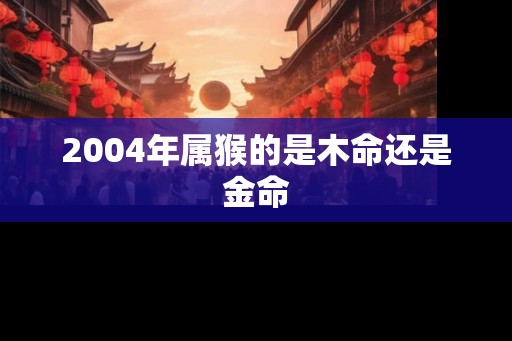 2004年属猴的是木命还是金命