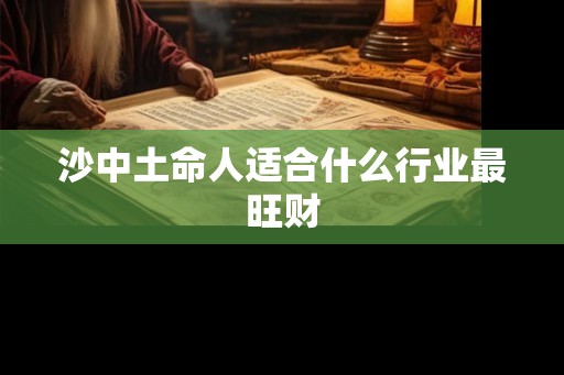 沙中土命人适合什么行业最旺财