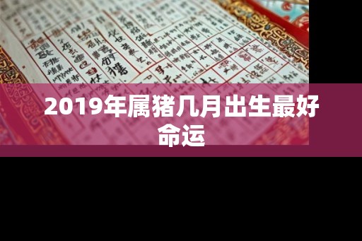 2019年属猪几月出生最好命运