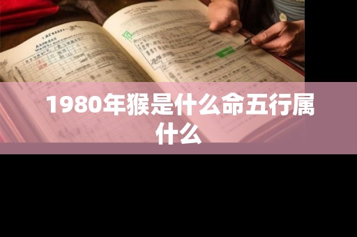 1980年猴是什么命五行属什么