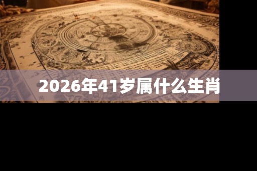 2026年41岁属什么生肖