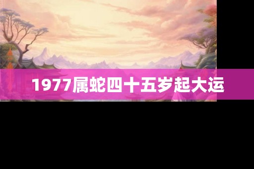 1977属蛇四十五岁起大运 1977属蛇四十五岁起大运