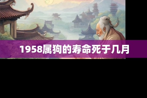 1958属狗的寿命死于几月 1958属狗的寿命死于几月