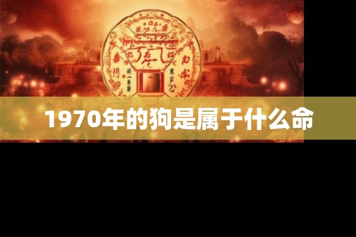 1970年的狗是属于什么命