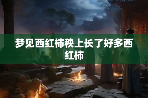 梦见西红柿秧上长了好多西红柿