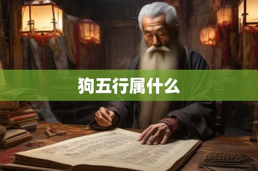 狗五行属什么